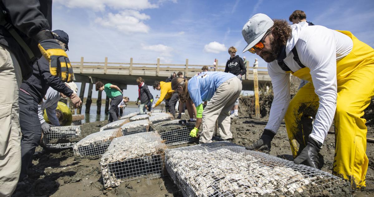 Kiawah River Bridge threatened by flooding, erosion