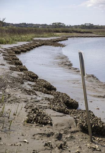 Kiawah MWR Erosion Build_011.JPG