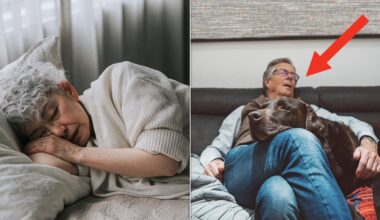 Sleep Issues That May Signal Dementia, According To Experts