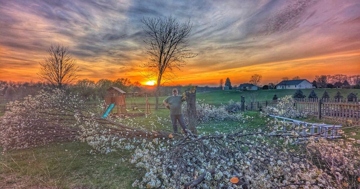 Invasive plant swap helps Tippecanoe County ecosystems thrive | News