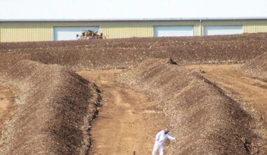 Poultry specialist explains spectacle of chicken composting amid bird flu outbreak [Lancaster Watchdog] | Local News