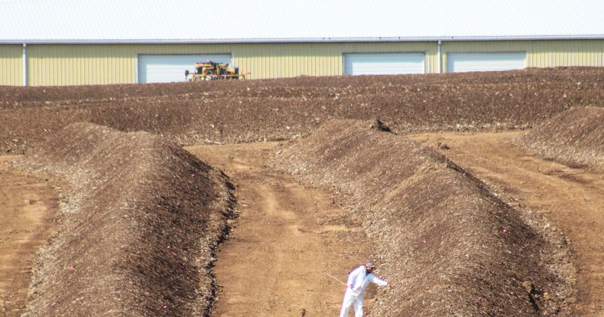 Poultry specialist explains spectacle of chicken composting amid bird flu outbreak [Lancaster Watchdog] | Local News