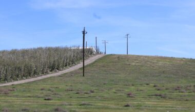 What a fourth year of drought means for Yakima Basin farms, fish and drinking water supplies | Business
