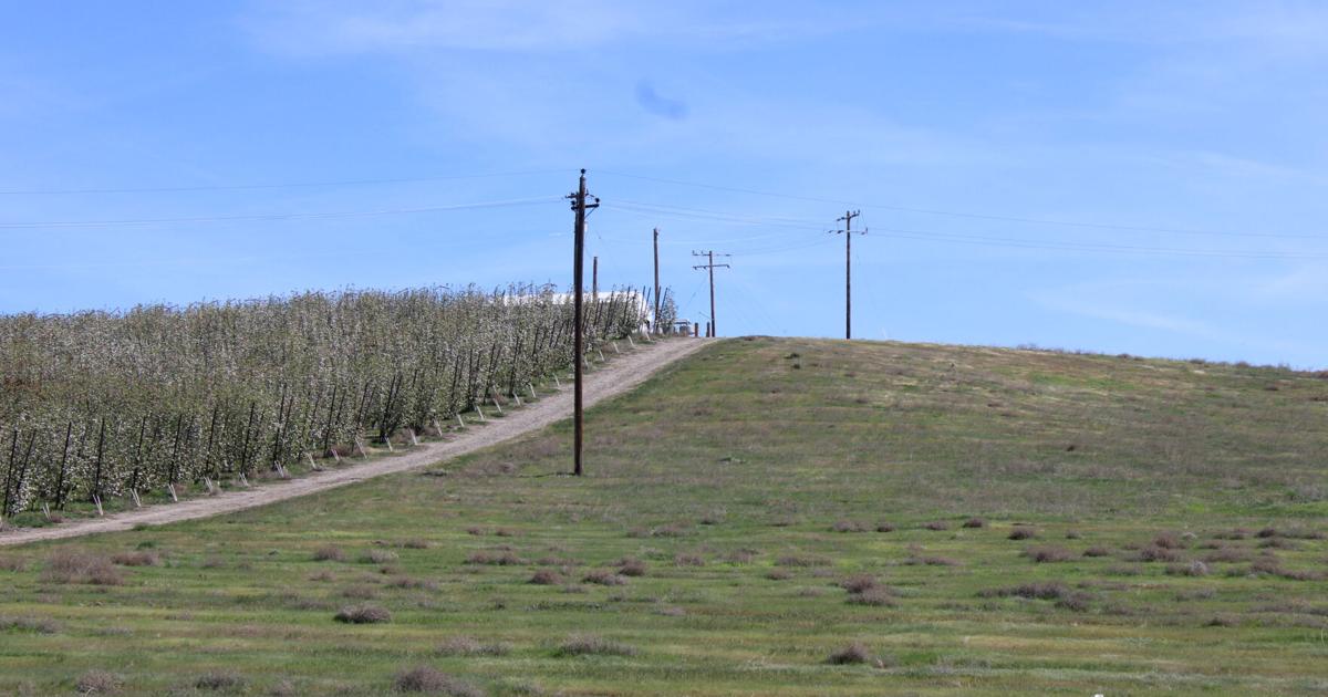 What a fourth year of drought means for Yakima Basin farms, fish and drinking water supplies | Business