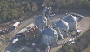 BREAKING: One rescued, one found dead in Bridgeville grain bin incident | Latest News
