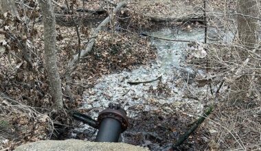 DNR findssewage lagoon violated state clean water laws | Local News