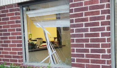 Deer wreaks havoc after 'breaking in' at chiropractor's office | News