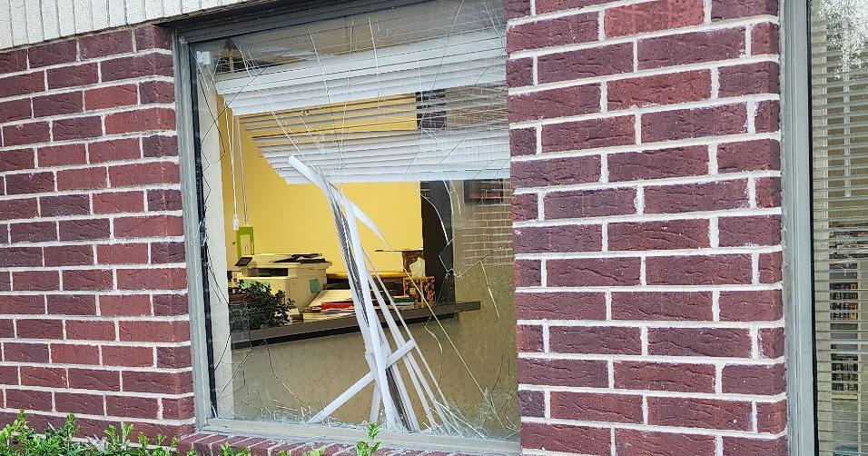Deer wreaks havoc after 'breaking in' at chiropractor's office | News