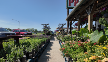 Summer in spring? Nearly record-breaking April heat hits Salisbury | Latest News