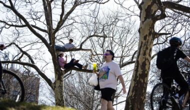Your brain on spring: How sunny skies and warmer weather affect your mental and physical health - Toronto Star