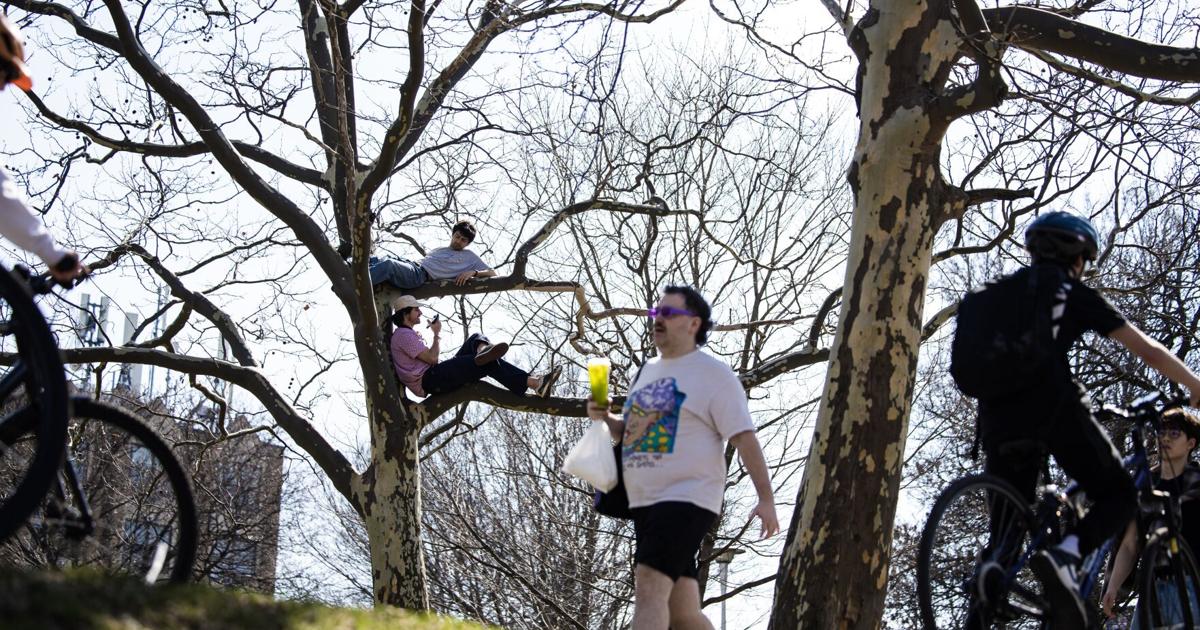 Your brain on spring: How sunny skies and warmer weather affect your mental and physical health - Toronto Star