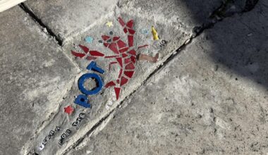 Buffalo Pothole Bandit fills New Orleans streets with art | Entertainment/Life