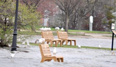 Experts explain why it's taking so long for floodwaters to recede | News