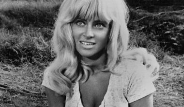 Yahoo entertainment home