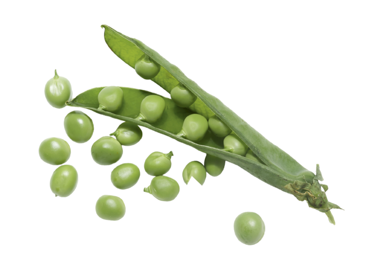 green pea pod with peas scattered around green pea pod with peas scattered around