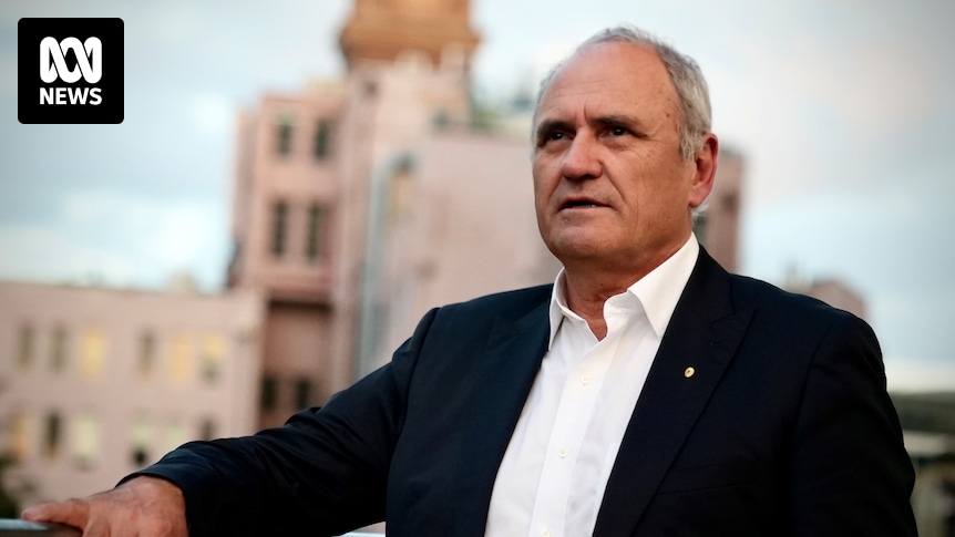 Former Treasury boss says Australians left with little to show from commodities boom