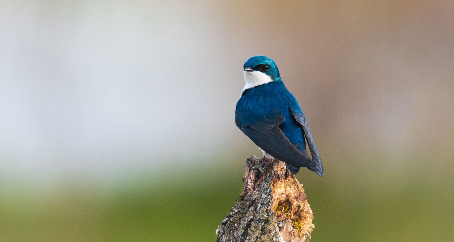 This is going to sound strange, but wildlife photography isn’t about the photos for me