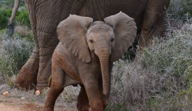 Yahoo lifestyle home