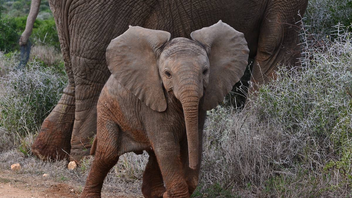 Yahoo lifestyle home