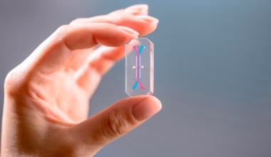 A tiny experiment using Artemis II astronaut cells could reshape medicine - The Washington Post