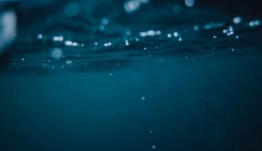 Kentucky oil well owner pleads guilty to dumping waste into creek for two years