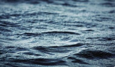 Over 2M gallons of partially treated sewage drains into Saginaw River