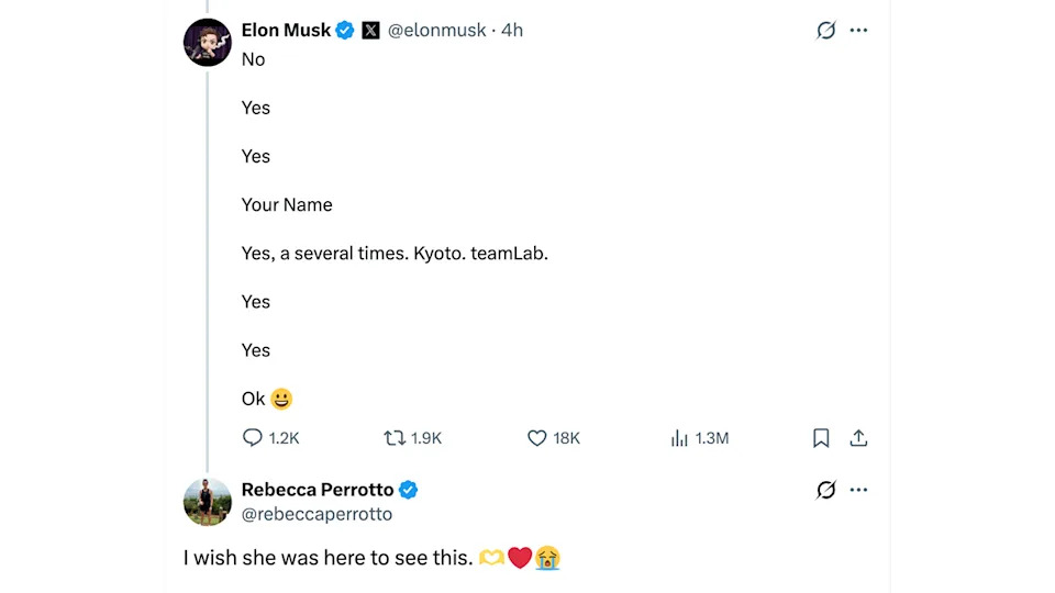 Screenshot of Elon Musk reply