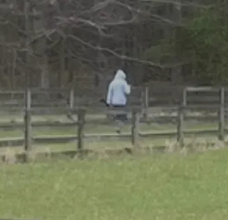 Rockingham County theft suspect (Rockingham County Sheriff’s Office)