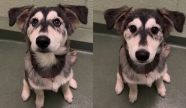 Yahoo lifestyle home