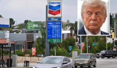 Fox host cuts off Trump’s top economic adviser when he tries to blame Biden for gas price spike amid Iran war