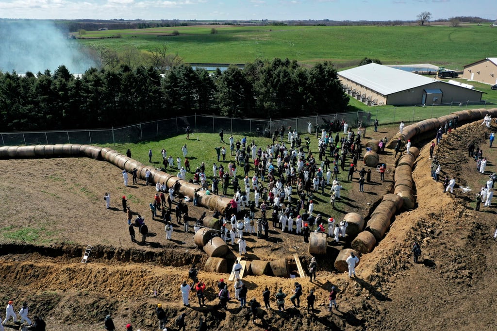 Animal rights activists attempt to break into Ridglan Farms beagle breeding and research facility in Blue Mounds, Wisconsin, on Saturday. Photo: AP