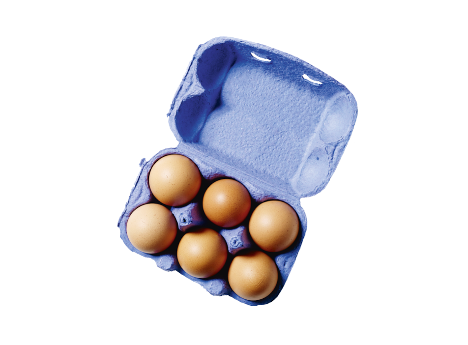 carton containing six eggs carton containing six eggs