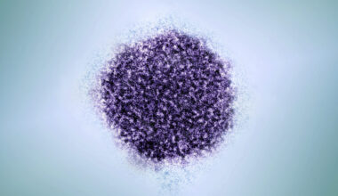 Eliminating hepatitis B shots at birth will have dire consequences, studies project