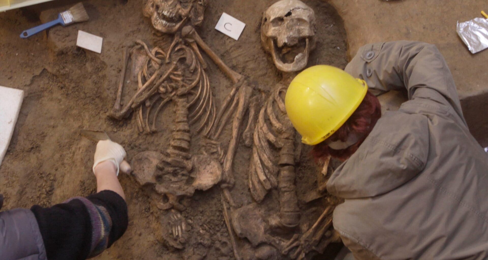 New secrets of human evolution unlocked in study of ancient DNA from Europe and Near East