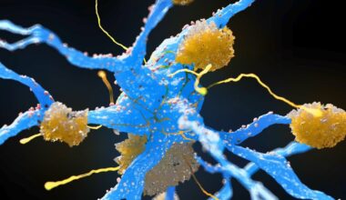 Weight-Loss Drugs May Reduce Buildup of Alzheimer's Proteins, Major Review Finds : ScienceAlert