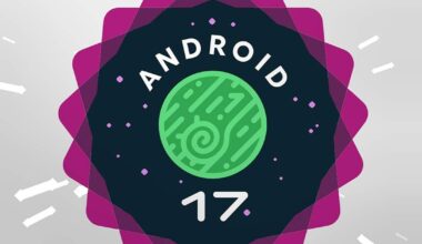 Here's the Android 17 Easter Egg