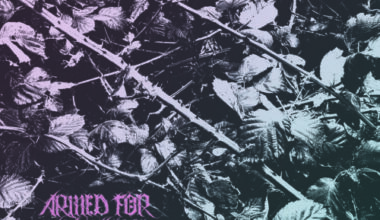 Armed for Apocalypse - The Earth is Breathing Beneath Me Review