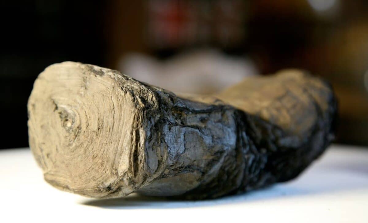 Artificial Intelligence Just Cracked The Text Of A Burned Papyrus That Would Crumble If Touched