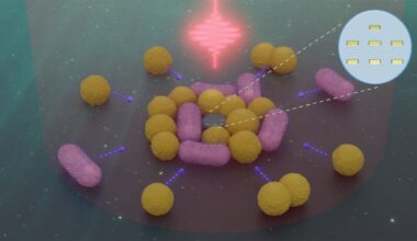 Artistic View of a Nanorobot Interacting With Several Bacteria