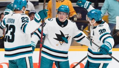 San Jose Sharks' playoff status not the ultimate measure of success