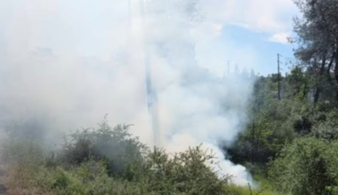 Squirrel blamed for chain of events that ignited spot fire
