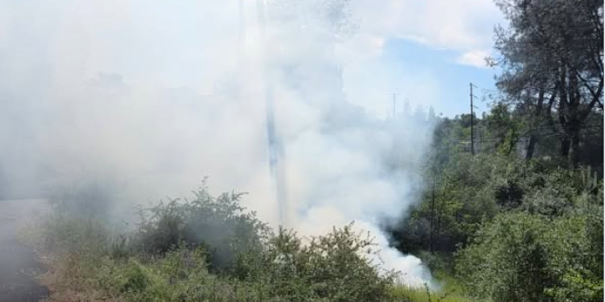 Squirrel blamed for chain of events that ignited spot fire