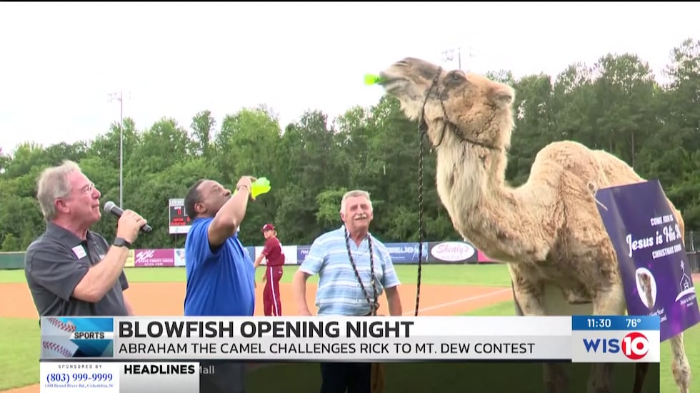 WIS Sports Director Rick Henry and Abraham the 1st partake in a Mountain Dew drinking contest.