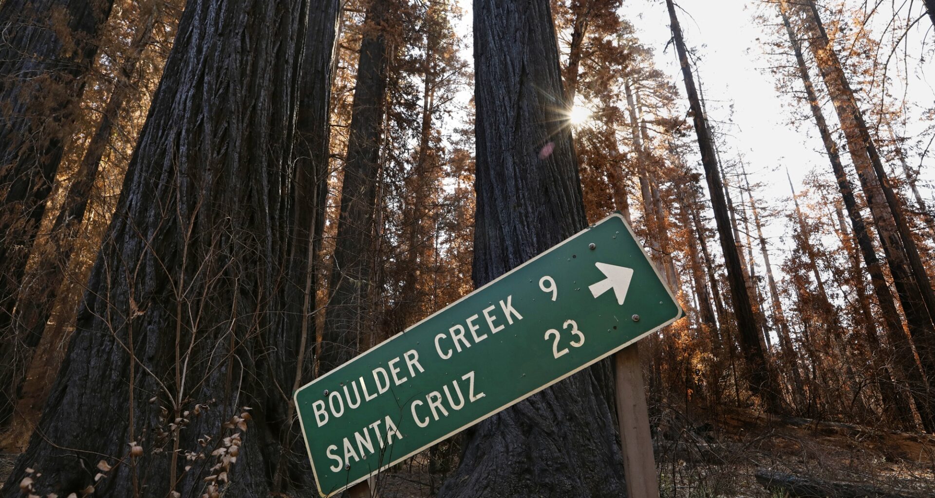 4.6 Magnitude Earthquake in Santa Cruz Mountains Shakes Bay Area Awake