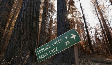 4.6 Magnitude Earthquake in Santa Cruz Mountains Shakes Bay Area Awake