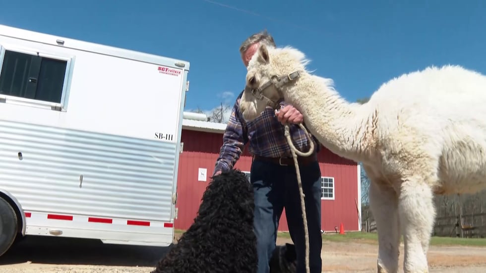 Abraham 2.0 and Jackson share a playful moment.