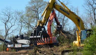 Sussex eyes forest protection law
