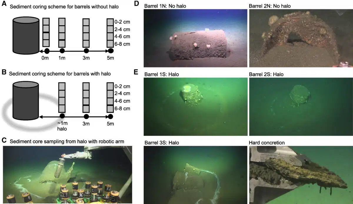 Deep Sea Barrels Off Los Angeles, Some Surrounded By White Halos Caused By Leaking Alkaline Waste