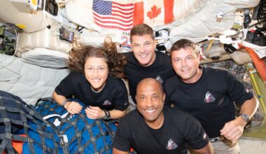 ‘We proved that we can do it again’: Former NASA astronaut on Artemis II mission - CTV News