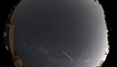 A bright Lyrid meteor over Tucson, Arizona from 2019. Credit: Eliot Herman.